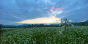 Bán mảnh đất View Hồ hiếm có ở Chiềng Đi, giá chỉ từ hơn 1 triệu/ m2