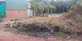 Nguồn hàng đầu năm cho khách hàng đầu tư.