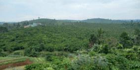 chỉ 1,9 tỷ sở hữu 721m2 đất giáp suối ngay TT Bảo Lộc, SHR