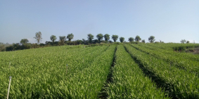 Bán đất lòng hồ Đại Ninh, view hồ đẹp, diện tích 3317m2