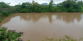 Trang trại hoặc khu nghỉ dưỡng