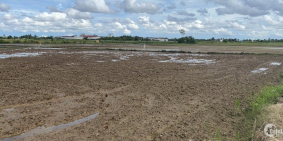 ngộp ngân hàng, cần bán đất nông nghiệp sóc trăng