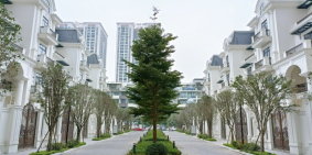 Biệt thự đơn lập đẳng cấp nhất khu vực Mỹ Đình, gần Vin Gardenia