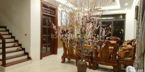 Biệt thự vườn đẳng cấp Ecopark, về nhà về với thiên nhiên