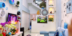 Chính chủ bán nhà HXH Nguyễn Ngọc Lộc, 40m2, giá rẻ