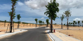 Bán nhanh cặp ODV 126m2 mặt tiền biển Nhơn Hội Newcity Phân khu 2