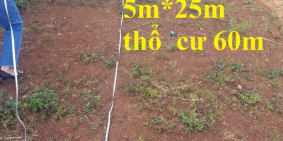 Cần bán lô đất mặt tiền đường nhựa Xã Hòa Khánh Sau lưng chợ Eakao