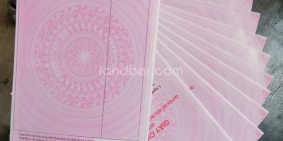 Còn vài nền thổ cư sổ sẵn giá đầu tư