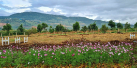 Eden Hills đất nền tại Nam Ban Lâm Hà chỉ 2.450 tỷ lô 306m full thổ cư