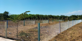 Cần bán 2 lô Đất TT Đất Đỏ BRVT 212m2 5x42m2, có 60m thổ cư. 204m2 5x40m2,