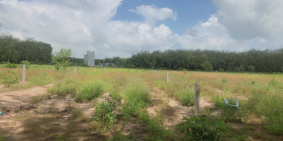 Kẹt tiền bán gấp đất view hồ 1085m2 tại xã Minh Hòa, Dầu Tiếng, Bình Dương