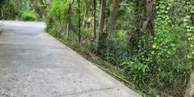 Đất mặt tiền đường ô tô Châu Hòa - Giồng Trôm