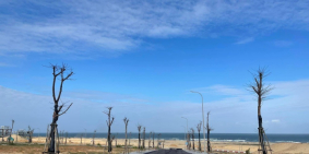 Đất nền mặt biển Quy Nhơn, đã có sổ đỏ, tặng vàng dành cho khách hàng đầu năm