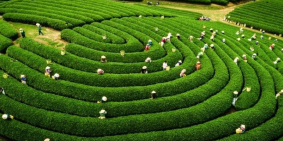 [NÓNG]!!! ĐÓN SÓNG QUY HOẠCH BÁN MẢNH 3600m TẠI CAO TỐC HÒA BÌNH - SƠN LA