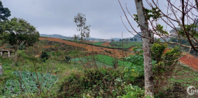 Bán đất Mộc Châu 3000m2 400m2 TC tại Mường Sang