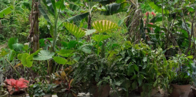 Bán 2 nền liền kề thuộc khu phố 3 phường 9 tpmt