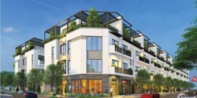 tnr phong châu phù ninh phú thọ