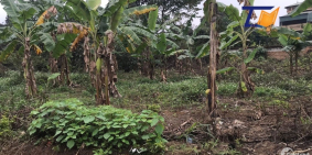 Cần bán đất 808m2 Cổ Đông Sơn Tây Hà Nội giá cực rẻ LH: A Tiến