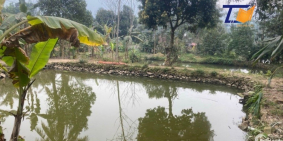 Miễn chê lô đất 21000m2 Thanh Sơn Phú Thọ có 4000m2 Thổ cư Đất đẹp giá rẻ