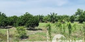 Đất vườn Củ Chi xã An Nhơn Tây 841m2 giá rẻ 1ty450tr SHR