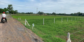 Đất vườn Củ Chi 620m2 giá 1ty500 thương lượng , sổ hồng riêng bao thuế phí sang