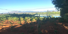 Đất ôm hồ 120m xã Ia Hrung 8800m2 giá 1,1 tỷ