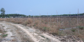 ĐẤT MẪU SUỐI CAO,RẺ NHẤT KHU VỰC SUỐI CAO