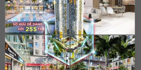 Bcons sala tối ưu dòng tiền, mua ở hay đầu tư điều được