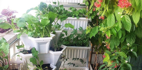 Nhà full nội thất theo phong cách Farm-house family