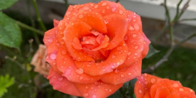 BIỆT THỰ ĐƠN LẬP CENTA CITY - HIỆN ĐẠI - XANH - ĐẲNG CẤP