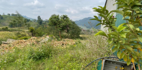 Đất Nền Mộc Châu (Mặt Đường Quốc Lộ 43) Chỉ Vài Triệu/m2