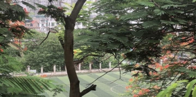 Bán nhà ngõ 292 Kim Giang, view hồ, đường ô tô tránh, 50m, 4 tầng, giá 6.5 tỷ