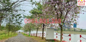 Bán Đất Tặng Nhà Tân Xã - Gần Đại Học FPT, Khu Công Nghệ Cao Hòa Lạc.