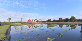 Bán đất giá rẻ bất ngờ tại Đức Hòa Long An