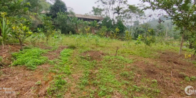 Bán đất mặt đường liên xã 30*25m