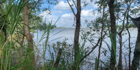 ĐẤT MẶT TIỀN ĐƯỜNG NHỰA VÀ SÔNG TIỀN GẦN CẦU RẠCH MIỄU 2