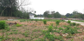 Chính chủ cần bán mảnh đất gần trục chính Xuân Linh, Thủy Xuân Tiên, Chương Mỹ