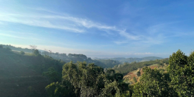 Kẹt Tiền Cần Bán Nhanh Lô Đất Xây Dựng Đẹp Giá Đầu Tư Tà Nung Đà Lạt