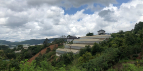 Cần bán gấp Lô Đất View Đẹp KQH Măng Ling P7 Đà Lạt, giá tốt trong thị trường