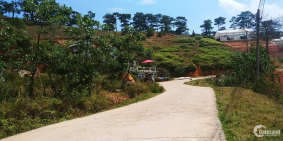 Cần Bán Đất view thung lũng, Phường 7, 756m -10tr/m TP Đà Lạt