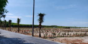 Đất nghỉ dưỡng trung tâm huyện Đất Đỏ, sổ riêng từng nền, cách biển 10km