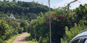 Em cần bán mảnh vườn xoài 2 MT quy hoạch ONT tại ấp Mít Nài, xã La Ngà