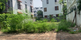 Bán gấp 60m đất tái định cư Trâu Quỳ hướng Đông Nam mát mẻ