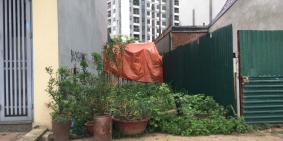 Bán gấp lô đất góc 47,6m mặt đường xóm 6 Đông Dư, đường ô tô tránh