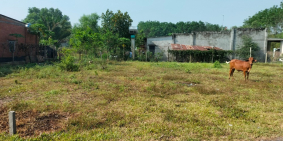 cần bán ấp xóm đồng xã thanh phước