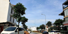 BÁN GẤP LÔ ĐẤT 125m2 BÌNH CHÁNH, ĐƯỜNG RỘNG, SỔ RIÊNG, THỔ CƯ 100%