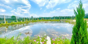 BÁN ĐẤT VƯỜN NGHỈ DƯỠNG CỦ CHI