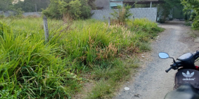 Đất xã Tân An Hội, Đường Nguyễn Văn Khạ. Sổ riêng, Thổ cư hết đất.