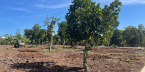 2s5 hàng gòn - long khánh, 2 mặt tiền betong, 100m2 thổ cư, còn lại phủ hồng