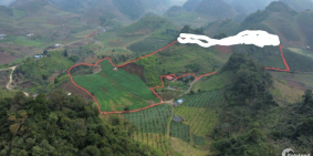 Bán đất Mộc Châu DT 3,6ha 3000m đất ở tại Phiêng Luông giá 370k/m2